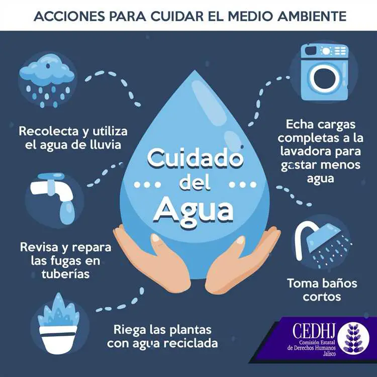 50 Ejemplos Para Cuidar El Agua Y Proteger Nuestro Planeta 1883